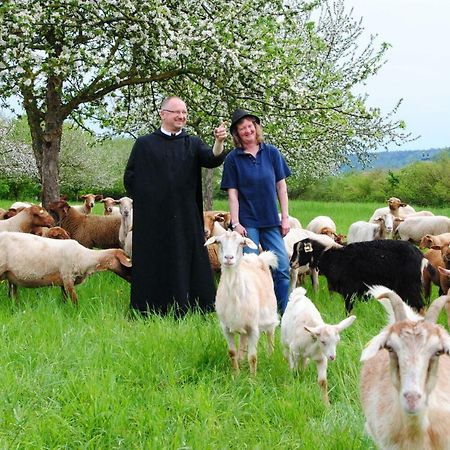 Kloster Plankstetten Gaste- Und Tagungshaus Berching Eksteriør billede